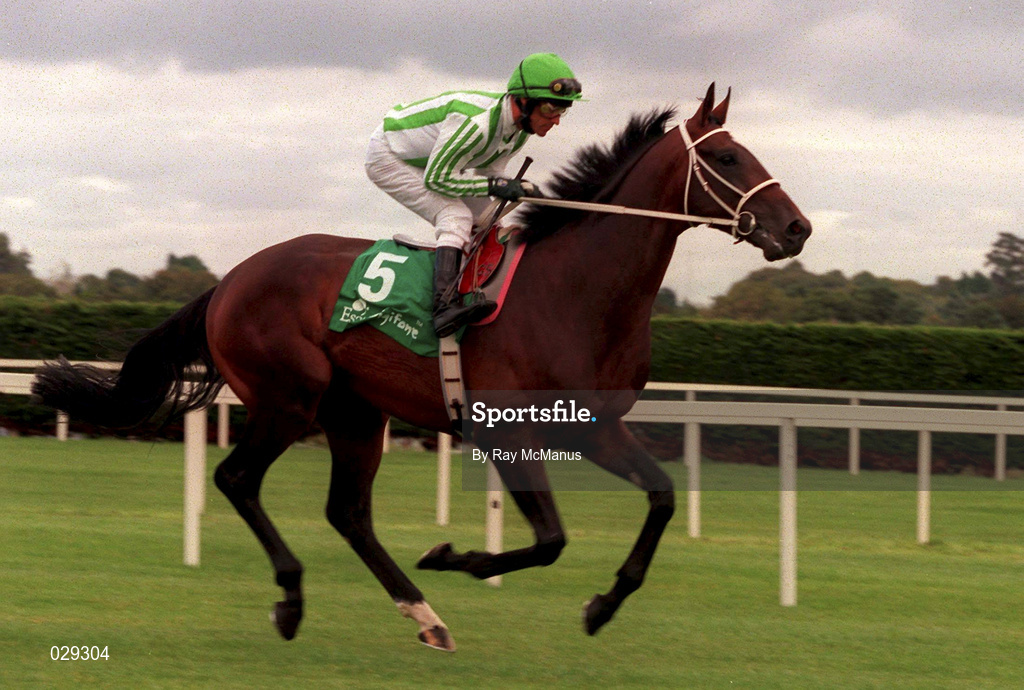 11 September 1999; Royal Anthem, with Gary Stevens up, go to post during horse racing at Leopardstown Racecourse in Dublin. Photo by Ray McManus/Sportsfile