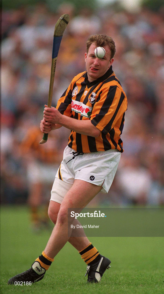 4 June 1995; Adrian Ronan of Kilkenny before the Leinster Senior Hurling Championship Quarter-Final match between Kilkenny and Laois at Dr Cullen Park in Carlow. Photo by David Maher/Sportsfile