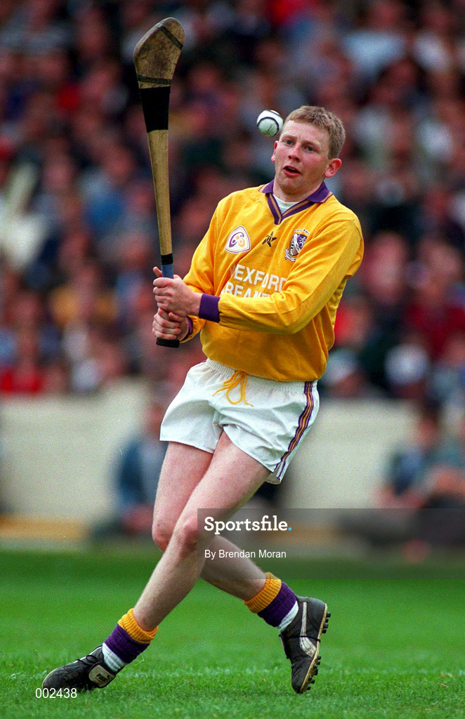 23 June 1996; Damien Fitzhenry of Wexford during the Leinster Senior Hurling Championship Semi-Final between Dublin and Wexford at Croke Park in Dublin. Photo by Brendan Moran/Sportsfile