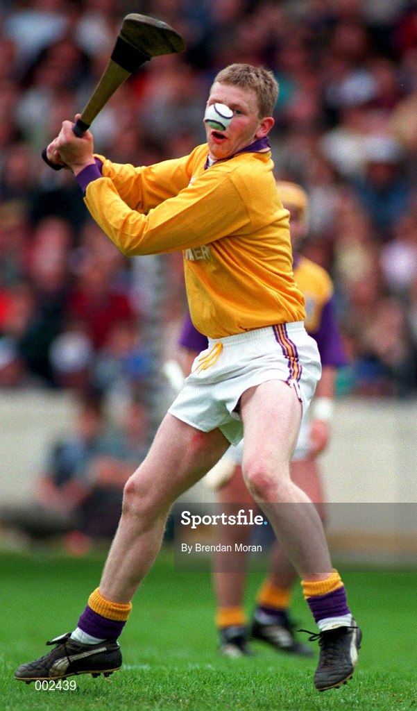 23 June 1996; Damien Fitzhenry of Wexford during the Leinster Senior Hurling Championship Semi-Final between Dublin and Wexford at Croke Park in Dublin. Photo by Brendan Moran/Sportsfile