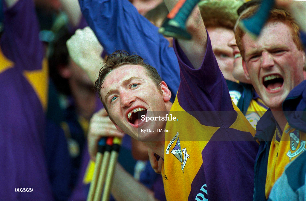 1 September 1996; Larry Murphy, centre, of Wexford celebrates following GAA All-Ireland Senior Hurling Championship Final between Wexford and Limerick at Croke Park in Dublin. Photo by David Maher/Sportsfile