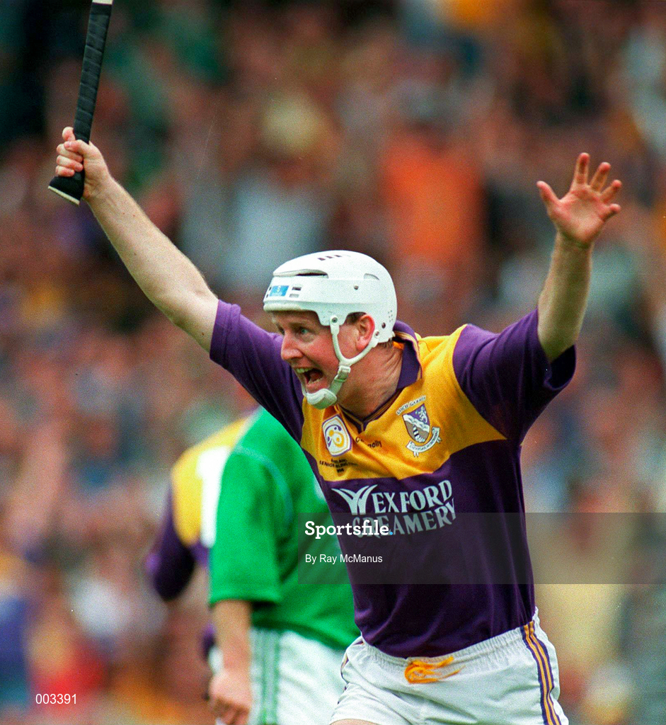 1 September 1996; Tom Dempsey of Wexford celebrates his goal during GAA All-Ireland Senior Hurling Championship Final between Wexford and Limerick at Croke Park in Dublin. Photo by Ray McManus/Sportsfile