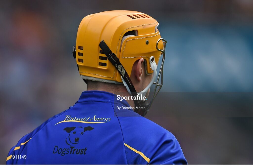 7 September 2014; A logo depicting the Dog's Trust on the back of the jersey of Tipperary hurler Seamus Callanan. GAA Hurling All Ireland Senior Championship Final, Kilkenny v Tipperary. Croke Park, Dublin. Picture credit: Brendan Moran / SPORTSFILE