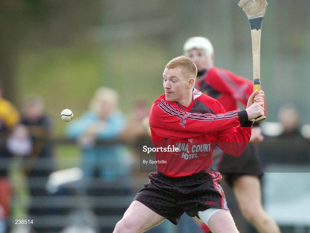 18 February 2007; Seamus Roddy, Down. Allianz National Hurling League Division 1A, Round 1, Down v Clare, Portaferry, Down. Photo by Sportsfile