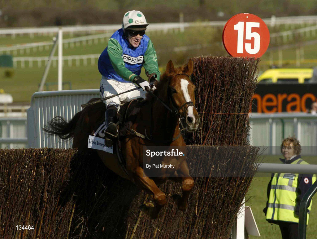 16 March 2004; Well Chief, with Tony McCoy up, jumps the last on their way to winning the Irish Independent Arkle Challenge Trophy Chase during Day One of the Cheltenham Racing Festival at Prestbury Park in Cheltenham, England. Photo by Pat Murphy/Sportsfile