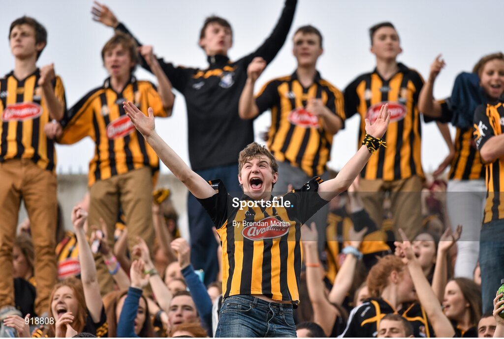 27 September 2014; A Kilkenny supporter on Hill 16 watches his side's victory. GAA Hurling All Ireland Senior Championship Final Replay, Kilkenny v Tipperary. Croke Park, Dublin. Picture credit: Brendan Moran / SPORTSFILE