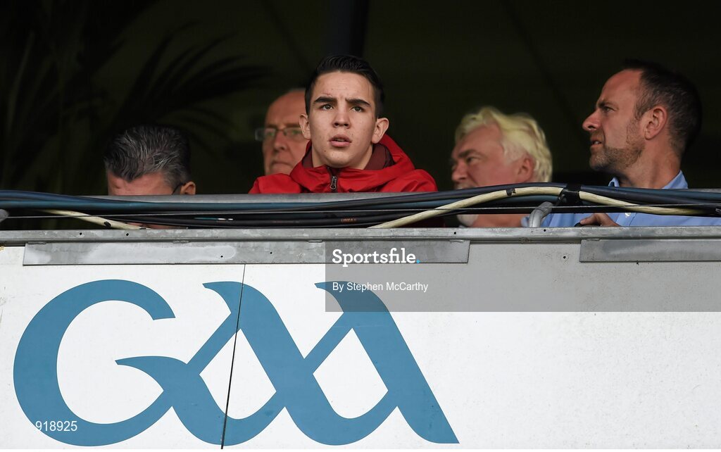 27 September 2014; Boxer Michael Conlan watches on ahead of the game. GAA Hurling All Ireland Senior Championship Final Replay, Kilkenny v Tipperary. Croke Park, Dublin. Picture credit: Stephen McCarthy / SPORTSFILE