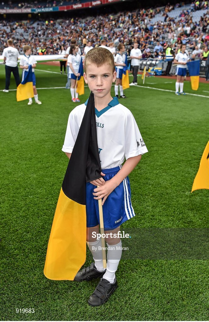 27 September 2014; Ryan Smith, age 12, from Cavan Town, who was a Liberty Insurance flagbearer at the GAA All Ireland Senior Championship Final Replay between Kilkenny and Tipperary in Croke Park. GAA Hurling All Ireland Senior Championship Final Replay, Kilkenny v Tipperary. Croke Park, Dublin. Picture credit: Brendan Moran / SPORTSFILE