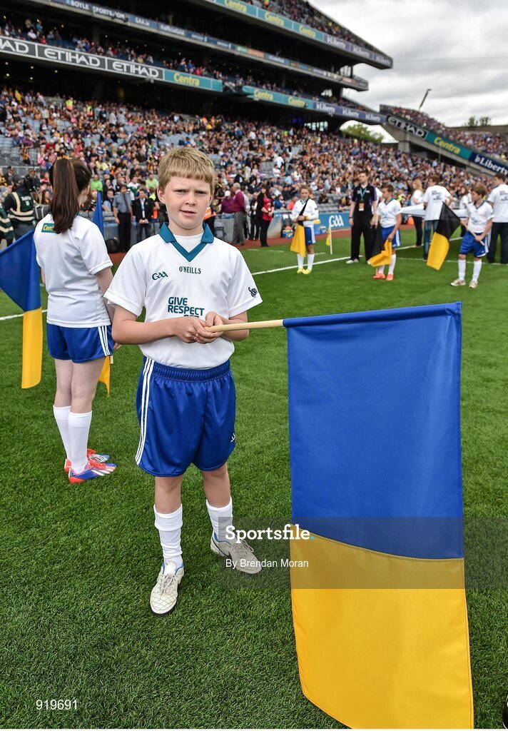 27 September 2014; Joe Caesar, age 10, from Holycross, Co. Tipperary, and a member of the Holycross GAA Club, who was a Liberty Insurance flagbearer at the GAA All Ireland Senior Championship Final Replay between Kilkenny and Tipperary in Croke Park. Croke Park, Dublin. Picture credit: Brendan Moran / SPORTSFILE