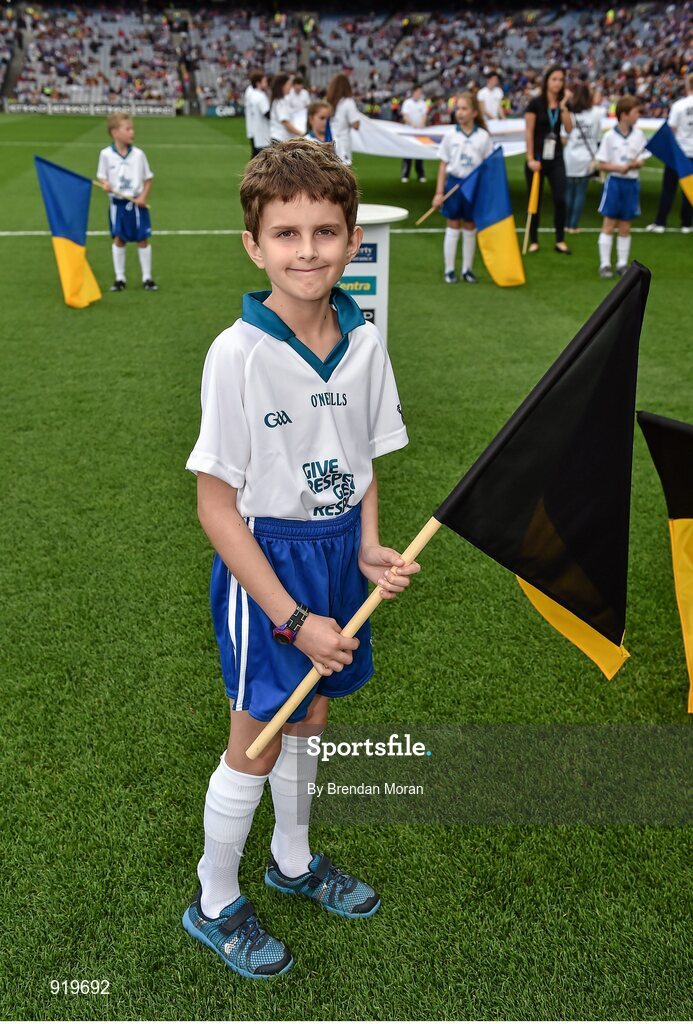 27 September 2014; Adam Arthurs, age 8, from Mullinavat, Co. Kilkenny, who was a Liberty Insurance flagbearer at the GAA All Ireland Senior Championship Final Replay between Kilkenny and Tipperary in Croke Park. GAA Hurling All Ireland Senior Championship Final Replay, Kilkenny v Tipperary. Croke Park, Dublin. Picture credit: Brendan Moran / SPORTSFILE