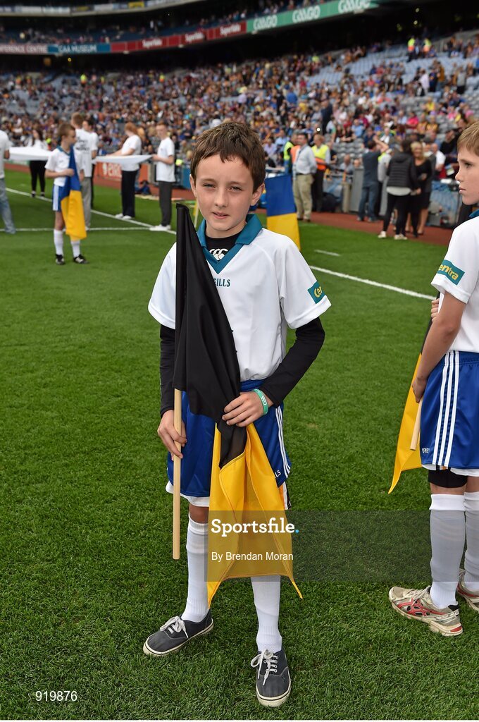 27 September 2014; Centra flagbearer Peter Houlihan. GAA Hurling All Ireland Senior Championship Final Replay, Kilkenny v Tipperary. Croke Park, Dublin. Picture credit: Brendan Moran / SPORTSFILE