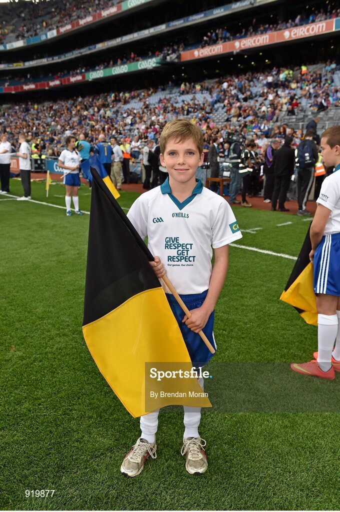 27 September 2014; Centra flagbearer Ciaran Carey. GAA Hurling All Ireland Senior Championship Final Replay, Kilkenny v Tipperary. Croke Park, Dublin. Picture credit: Brendan Moran / SPORTSFILE