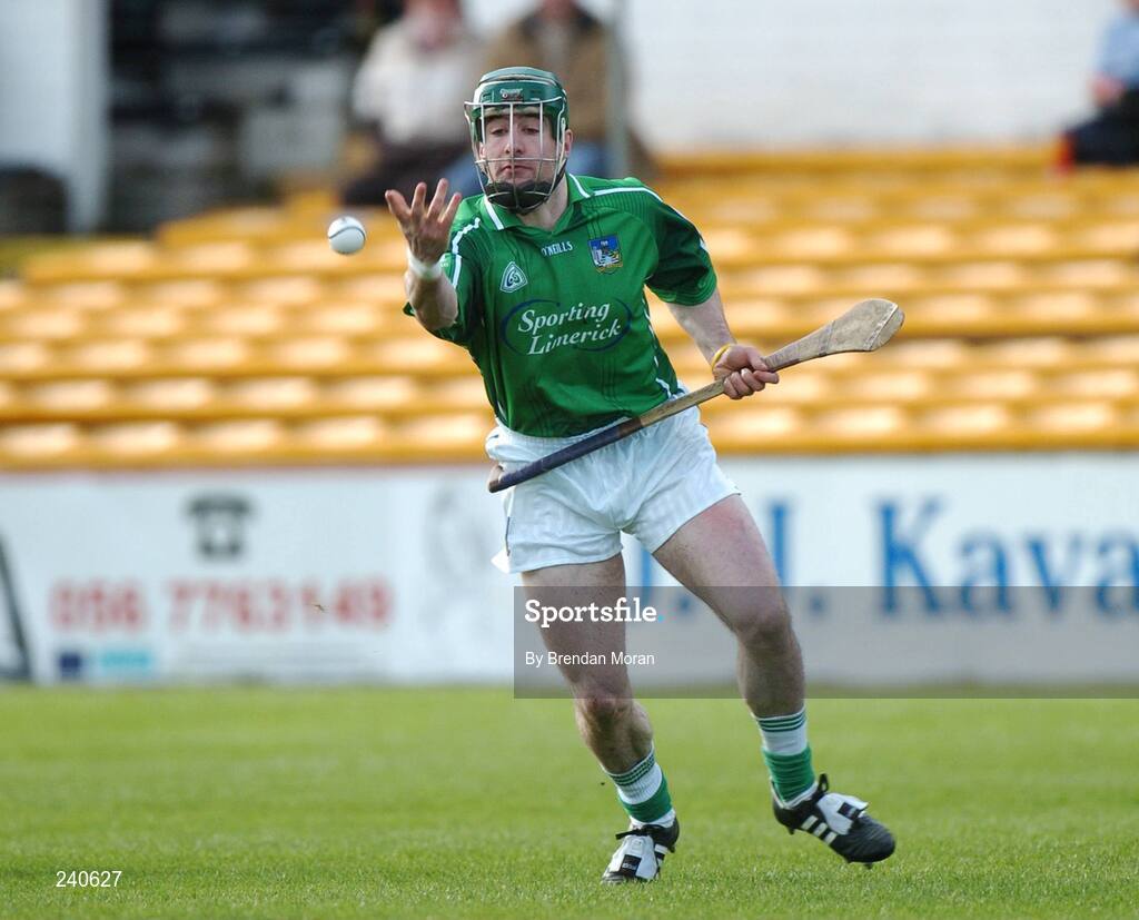 19 March 2007; Andrew O'Shaughnessy, Limerick. Allianz National Hurling League, Kilkenny v Limerick, Division 1B, Round 3, Nowlan Park, Kilkenny. Picture credit: Brendan Moran / SPORTSFILE