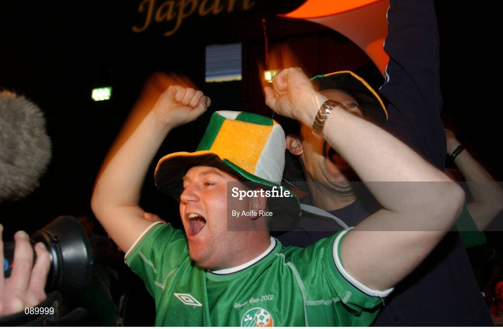 5 June 2002; Republic of Ireland fan Gregg Carroll, from Lucan, Dublin, celebrates Robbie Keane's late goal against Germany in the FIFA World Cup Finals. RDS Ballsbridge, Dublin. Picture credit: Aoife Rice / SPORTSFILE