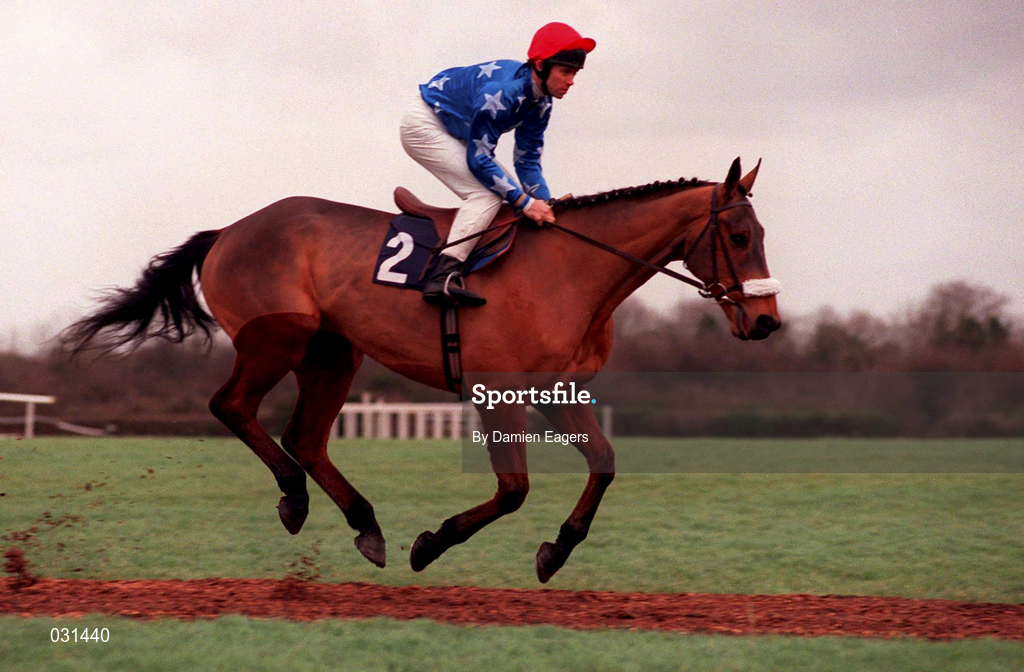 28 November 1999; Feathered Leader canters to the start for the C.P.M. Drinmore Novice Chase at Fairyhouse Racecourse in Ratoath, Meath. Photo by Damien Eagers/Sportsfile