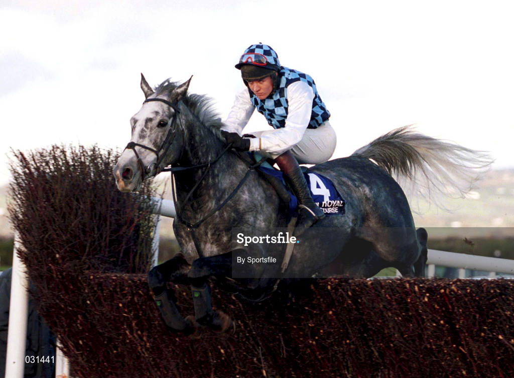 6 November 1999;  Ferbet Junior, with Barry Geraghty up, during the James Nicholson Wine Merchant Champion Steeplechase at Down Royal in Lisburn, Down. Photo by Sportsfile