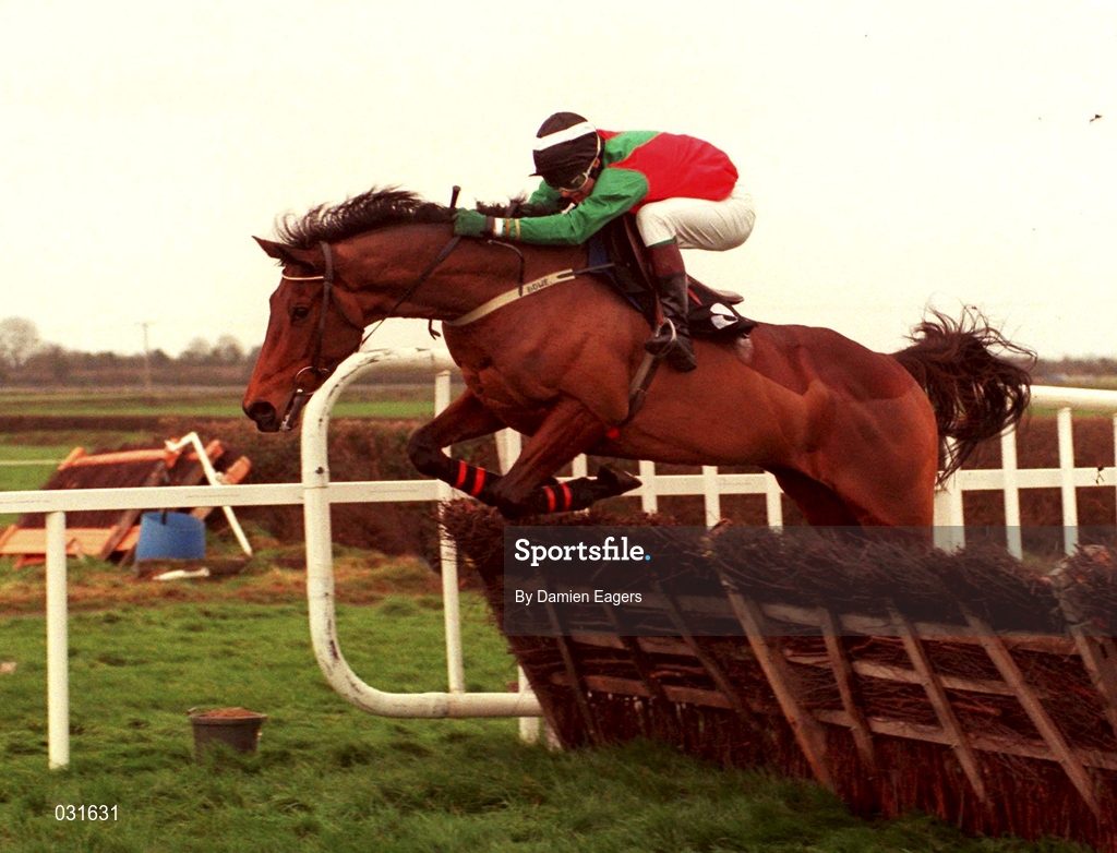28 November 1999; Limestone Lad with Shane McGovern up clears the last to win The Duggan Brothers Hatton's Grace Hurdle at Fairyhouse Racecourse in Ratoath, Meath. Photo by Damien Eagers/Sportsfile