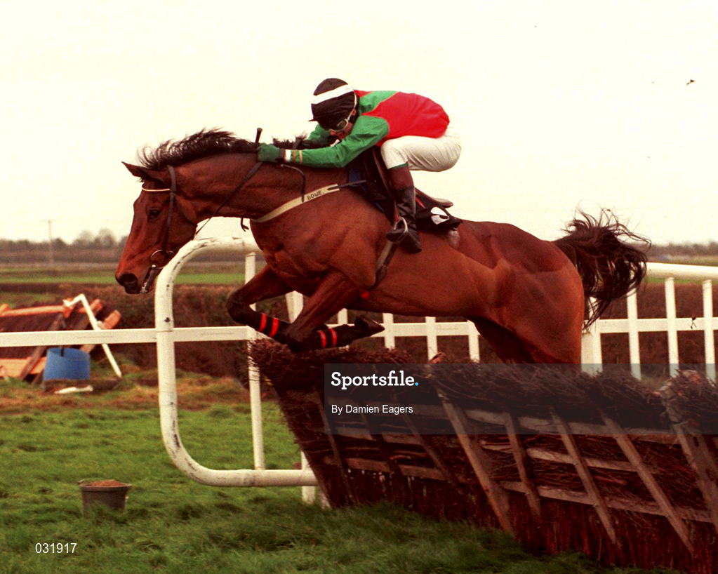 28 November 1999; Limestone Lad, with Shane McGovern up, jumps the last on their way to winning the The Duggan Brothers Hatton's Grace Hurdle at Fairyhouse Racecourse in Ratoath, Meath. Photo by Damien Eagers/Sportsfile