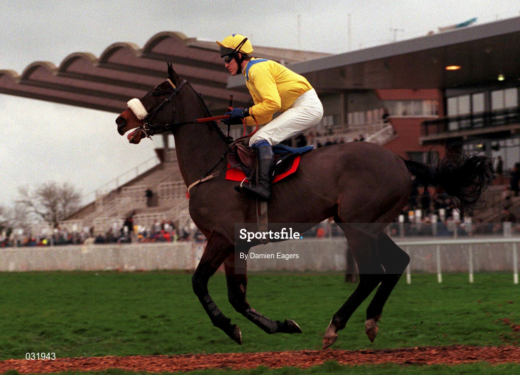 28 November 1999; Stage Affair, with Tony McCoy up, canters to the start before The Pembroke Electrical Royal Bond Novice Hurdle at Fairyhouse Racecourse in Ratoath, Meath. Photo by Damien Eagers/Sportsfile