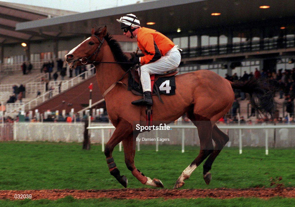 28 November 1999; Vanilla Man, with Tom Treacy up, canters to the start before The Pembroke Electrical Royal Bond Novice Hurdle at Fairyhouse Racecourse in Ratoath, Meath. Photo by Damien Eagers/Sportsfile