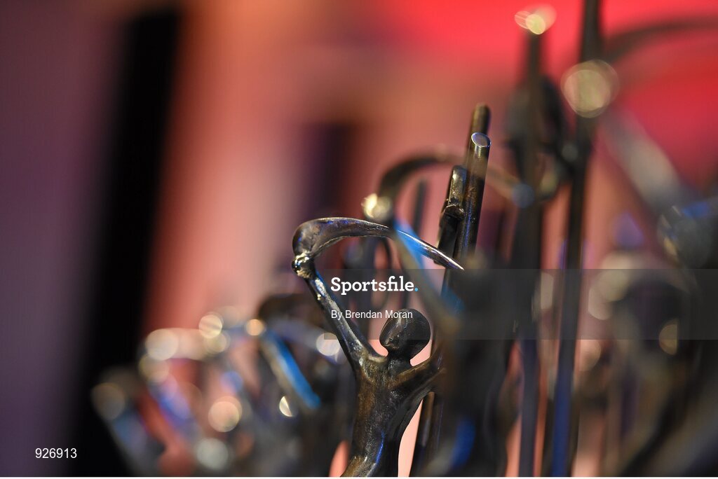 24 October 2014; A general view of the GAA GPA Allstar Awards during the 2014 GAA GPA All-Star Awards, sponsored by Opel. Convention Centre, Dublin. Picture credit: Brendan Moran / SPORTSFILE