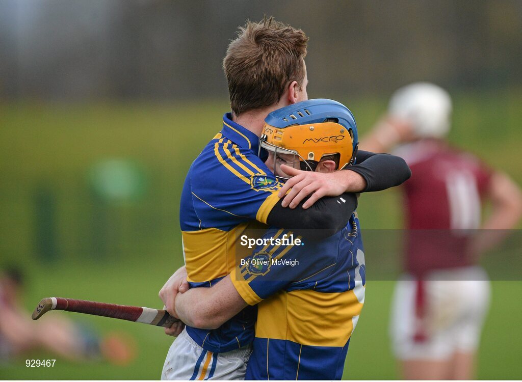 2 November 2014; Sean Mageean and Conor Mageean, Portaferry celebrates at the final whistle. AIB Ulster GAA Hurling Senior Club Championship Final, Portaferry v Cushendall  Ruairi Óg, Owenbeg Centre of Excellence, Dungiven, Derry. Picture credit: Oliver McVeigh / SPORTSFILE
