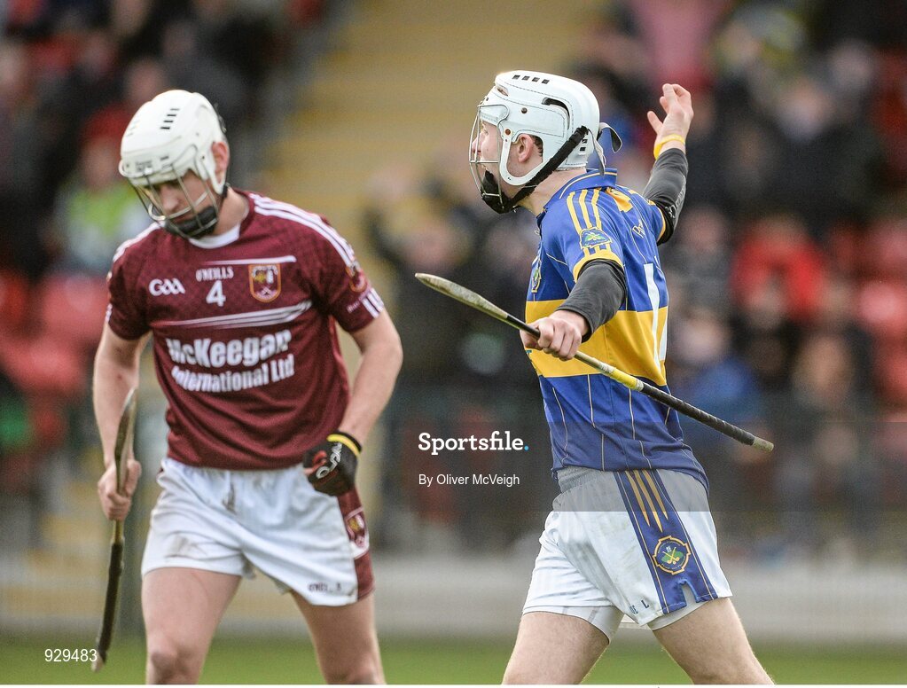 2 November 2014; Eoghan Sands, Portaferry celebrates after scoring a goal for his side in the second half. AIB Ulster GAA Hurling Senior Club Championship Final, Portaferry v Cushendall  Ruairi Óg, Owenbeg Centre of Excellence, Dungiven, Derry. Picture credit: Oliver McVeigh / SPORTSFILE