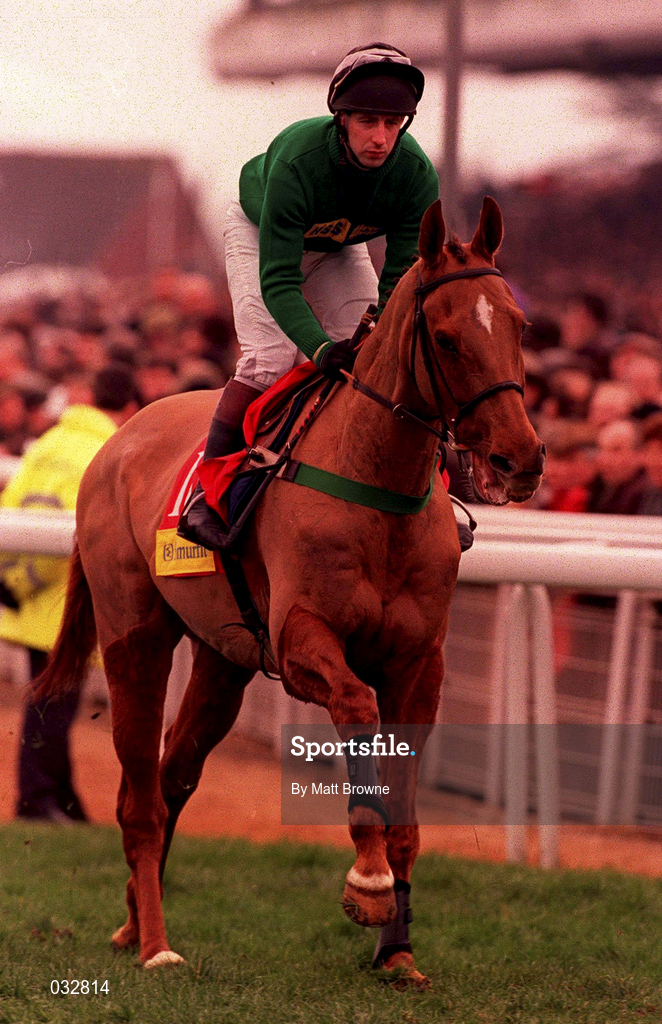 17 March 1998: Jockey Jim Culloty and Red Blazer canter to the start for the Smurfit Champion Hurdle during the opening day of the Cheltenham Racing Festival at Prestbury Park in Cheltenham, England. Photo by Matt Browne/Sportsfile