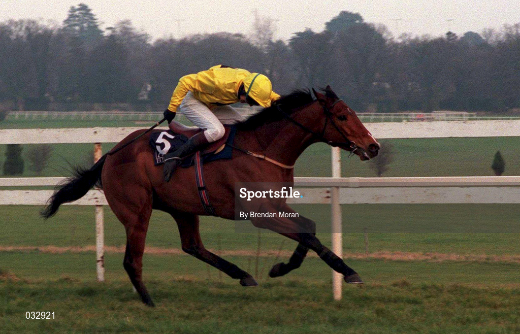 19 January 1997; Theaterworld, with Charlie Swan up, during the AIG Europe Champion Hurdle at Leopardstown Racecourse in Dublin. Photo by Brendan Moran/Sportsfile
