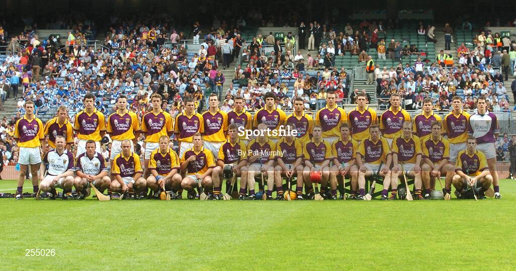 1 July 2007; The Wexford panel. Guinness Leinster Senior Hurling Championship Final, Kilkenny v Wexford, Croke Park, Dublin. Picture credit: Pat Murphy / SPORTSFILE