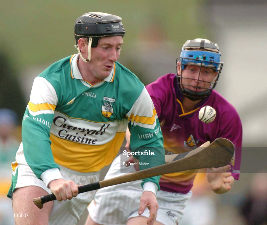 28 March 2004; Brian Whelahan of Offaly in action against M.J. Furlong of Wexford during the Allianz Hurling League Division 1B match between Offaly and Wexford at St. Brendan's Park in Birr, Offaly. Photo by David Maher/Sportsfile