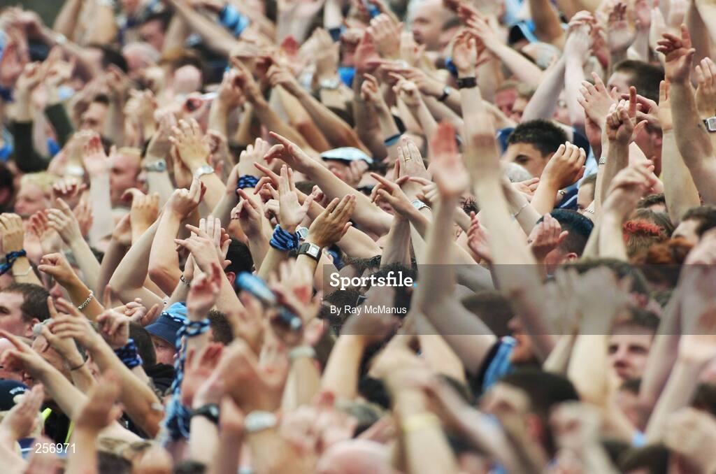 15 July 2007; Dublin supporters on Hill 16. Bank of Ireland Leinster Senior Football Championship Final, Dublin v Laois, Croke Park, Dublin. Picture credit: Ray McManus / SPORTSFILE