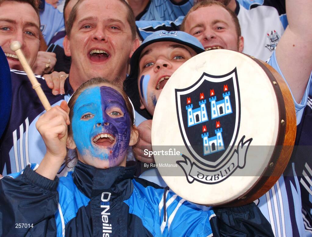 15 July 2007; Dublin supporters on Hill 16. Bank of Ireland Leinster Senior Football Championship Final, Dublin v Laois, Croke Park, Dublin. Picture credit: Ray McManus / SPORTSFILE