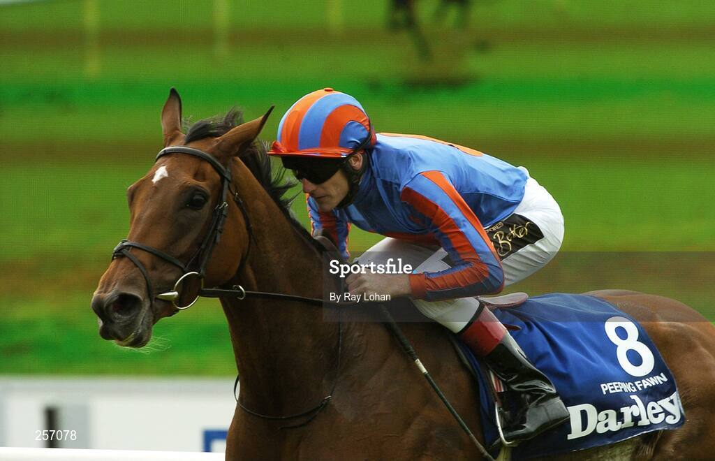 15 July 2007; Peeping Fawn with Johnny Murtagh up on their way to winning the Darley Irish Oaks. Curragh Racecourse, Co. Kildare. Picture credit: Ray Lohan / SPORTSFILE *** Local Caption ***