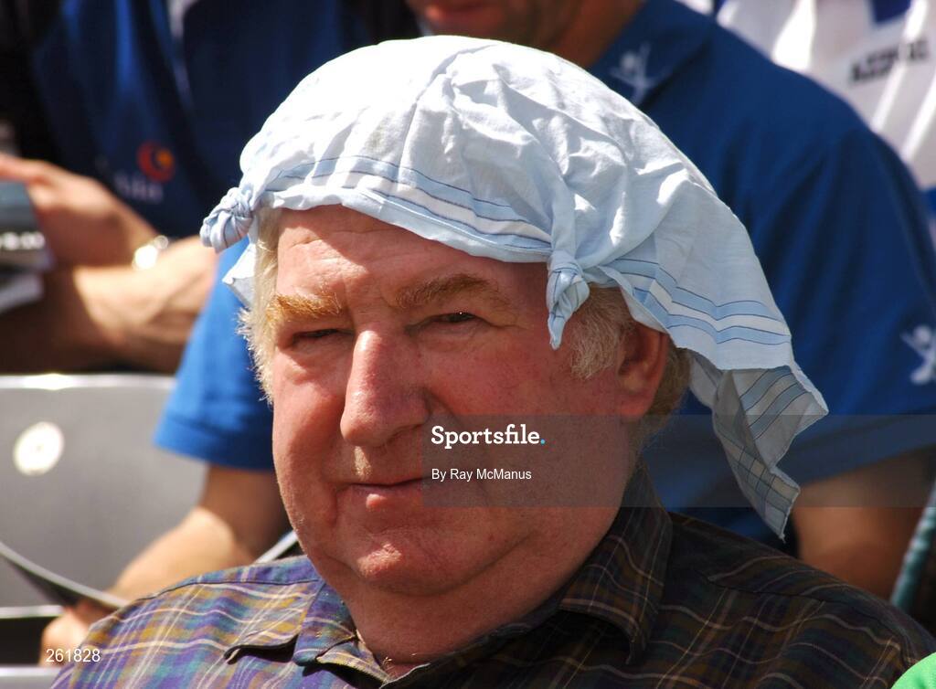 29 July 2007; A supporter watches the game. Guinness All-Ireland Senior Hurling Championship Quarter-Final, Clare v Limerick, Croke Park, Dublin. Picture credit; Ray McManus / SPORTSFILE