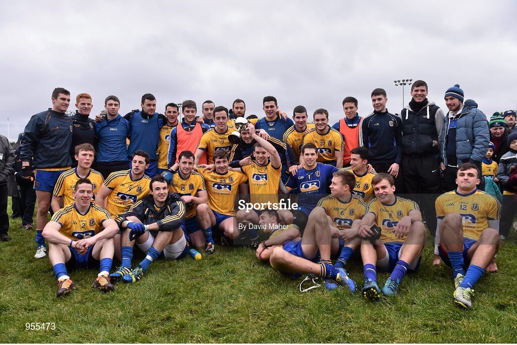 25 January 2015;  Roscommon players and staff celebrate at the end of the game. FBD Connacht League Final, Roscommon v Galway, Kiltoom, Co. Roscommon. Picture credit: David Maher / SPORTSFILE