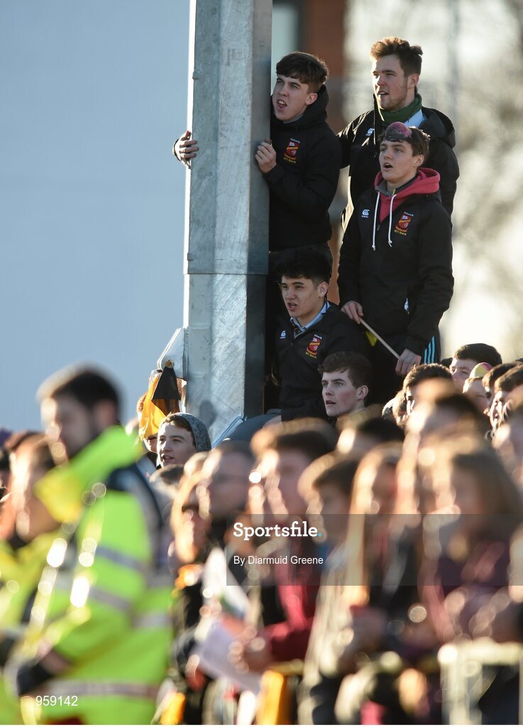 4 February 2015; Ardscoil Rís supporters look on from a high vantage point during the game. SEAT Munster Schools Junior Cup, Round 1, St Munchin's College v Ardscoil Rís. St Mary's RFC, Limerick. Picture credit: Diarmuid Greene / SPORTSFILE