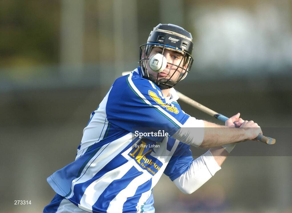 11 November 2007; Shane Durkin, Ballyboden St. Enda's. AIB Leinster Club Senior Hurling Championship Quarter-Final, Ballyboden St Enda's, Dublin v Oulart-the-Ballagh, Wexford, Parnell Park, Dublin. Picture credit: Ray Lohan / SPORTSFILE
