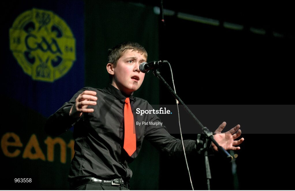 14 February 2015; Ciarán Byrne, J.K. Bracken, Co. Tipperary, competing in the Story Telling competition during the All-Ireland Scór na nÓg Championship Finals 2015. Citywest Hotel, Saggart, Co. Dublin. Picture credit: Pat Murphy / SPORTSFILE