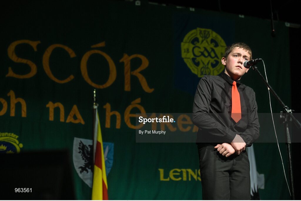 14 February 2015; Ciarán Byrne, J.K. Bracken, Co. Tipperary, competing in the Story Telling competition during the All-Ireland Scór na nÓg Championship Finals 2015. Citywest Hotel, Saggart, Co. Dublin. Picture credit: Pat Murphy / SPORTSFILE