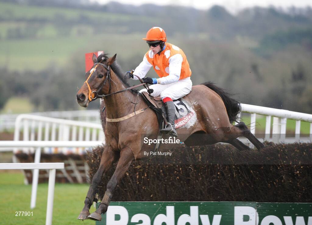 31 December 2007; Torduff King, with Mark Ferris up, on their way to winning the Visit The Panoramic Restaurant Beginners Steeplechase. Punchestown Races, Punchestown Racecourse, Co. Kildare. Picture credit; Pat Murphy / SPORTSFILE