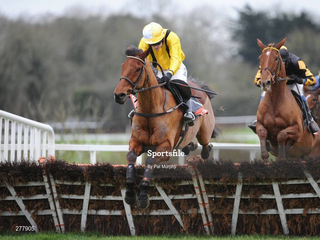 31 December 2007; Snowy Morning, with Ruby Walsh up, clears the last on their way to winning the attheraces.com Free Video Form Hurdle. Punchestown Races, Punchestown Racecourse, Co. Kildare. Picture credit; Pat Murphy / SPORTSFILE