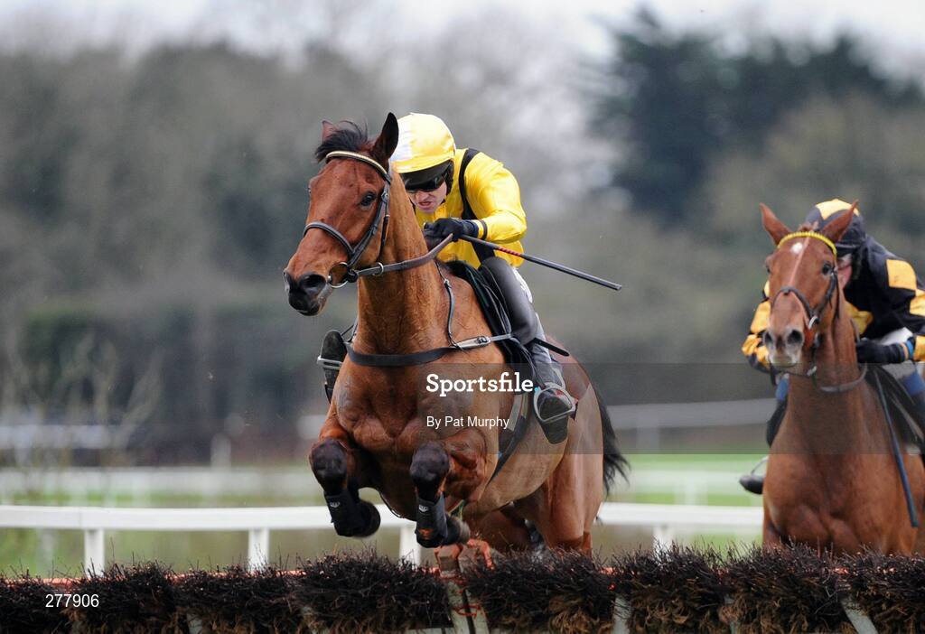 31 December 2007; Snowy Morning, with Ruby Walsh up, clears the last on their way to winning the attheraces.com Free Video Form Hurdle. Punchestown Races, Punchestown Racecourse, Co. Kildare. Picture credit; Pat Murphy / SPORTSFILE