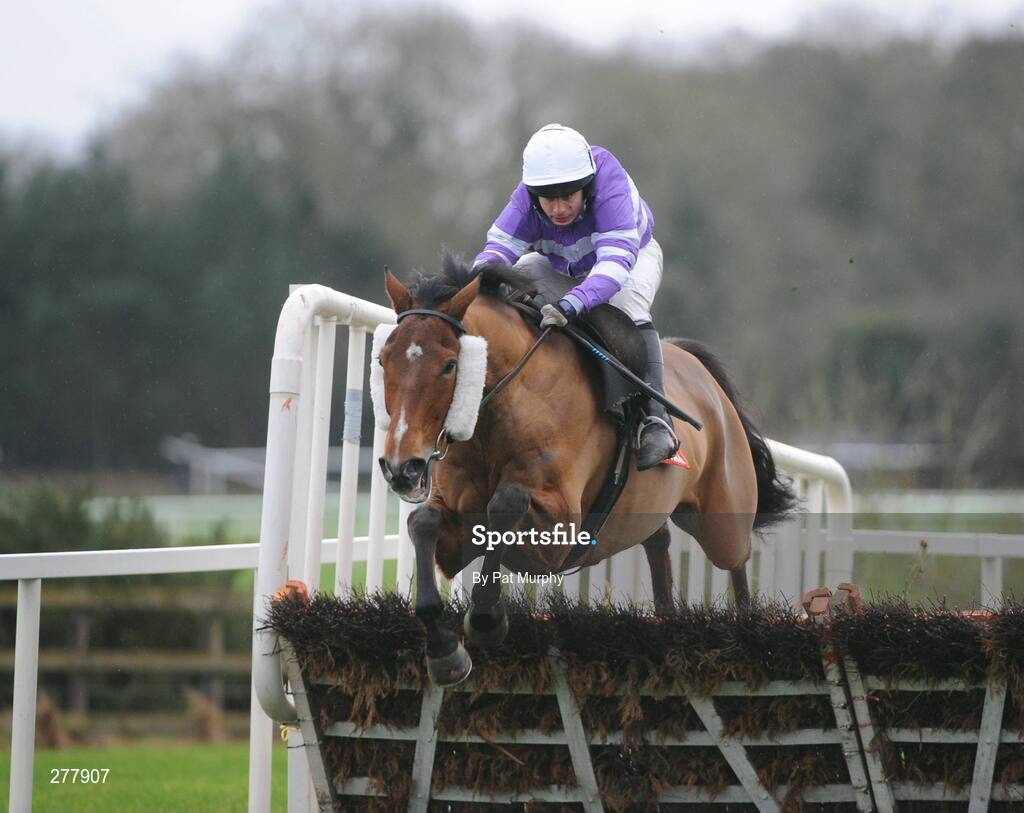 31 December 2007; Silent Creek, with Alan Crowe up, clears the last on their way to winning the Buy Your Tickets Online At www.punchestown.com Handicap Hurdle. Punchestown Races, Punchestown Racecourse, Co. Kildare. Picture credit; Pat Murphy / SPORTSFILE