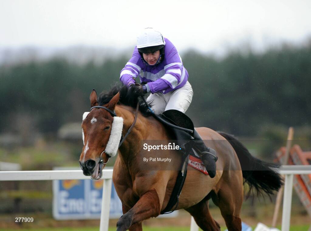 31 December 2007; Silent Creek, with Alan Crowe up, on their way to winning the Buy Your Tickets Online At www.punchestown.com Handicap Hurdle. Punchestown Races, Punchestown Racecourse, Co. Kildare. Picture credit; Pat Murphy / SPORTSFILE