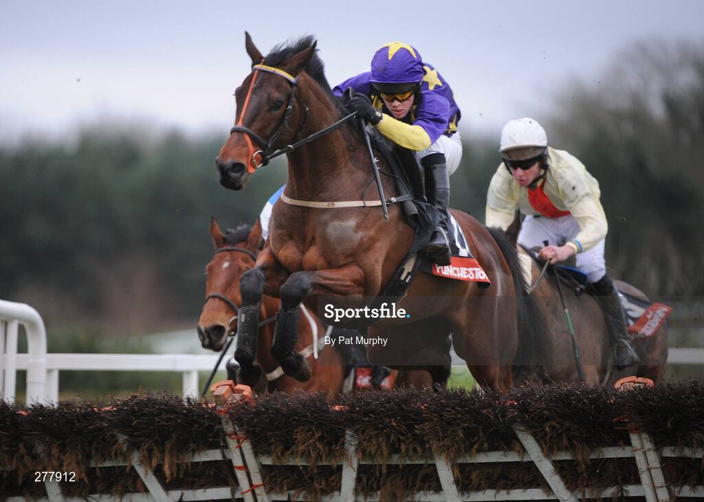 31 December 2007; Splurge, with Tommy Molloy up, clears the last ahead of the field on their way to winning the Martinstown Opportunity Handicap Hurdle. Punchestown Races, Punchestown Racecourse, Co. Kildare. Picture credit; Pat Murphy / SPORTSFILE