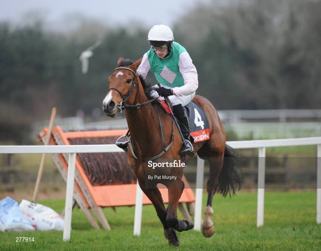 31 December 2007; C'est Ca, with Patrick Mullins up, after clearing the last on their way to winning the Celebrate New Year's Eve At Punchestown Maiden Hurdle. Punchestown Races, Punchestown Racecourse, Co. Kildare. Picture credit; Pat Murphy / SPORTSFILE