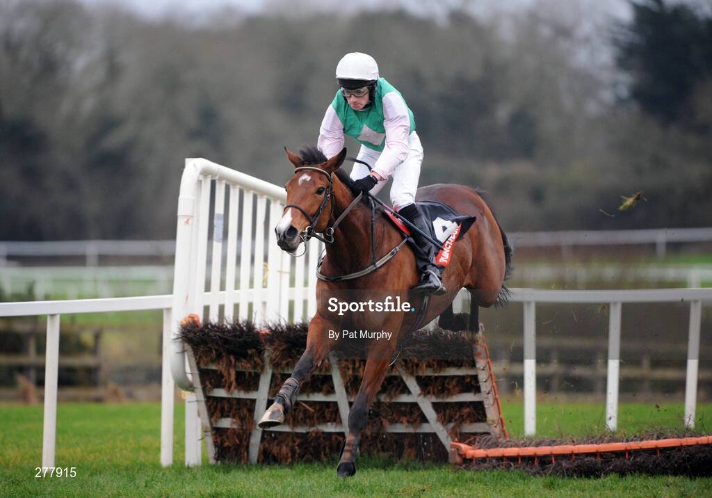 31 December 2007; C'est Ca, with Patrick Mullins up, clears the last on their way to winning the Celebrate New Year's Eve At Punchestown Maiden Hurdle. Punchestown Races, Punchestown Racecourse, Co. Kildare. Picture credit; Pat Murphy / SPORTSFILE