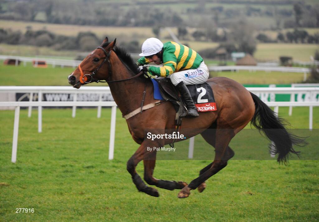 31 December 2007; The Boxer Roche, with Mike Darcy up, races toward the finish line on their way to winning the Buy Your Punchestown Annual Membership For 2008 Handicap Steeplechase. Punchestown Races, Punchestown Racecourse, Co. Kildare. Picture credit; Pat Murphy / SPORTSFILE