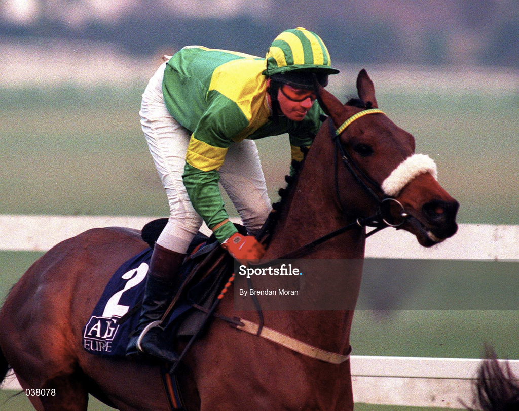 19 January 1997; Dardjini, with Paul Carberry up, on their way to finishing third in the AIG Europe Champion Hurdle at Leopardstown Racecourse in Dublin. Photo by Brendan Moran/Sportsfile